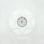 A6 Pressure Release Valve
